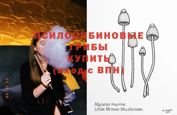 бошки Арсеньев