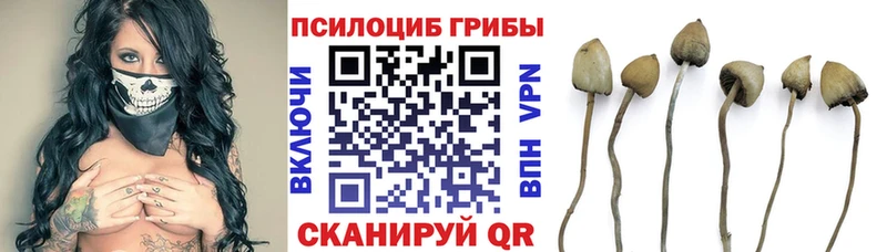 Галлюциногенные грибы MAGIC MUSHROOMS  Минусинск 