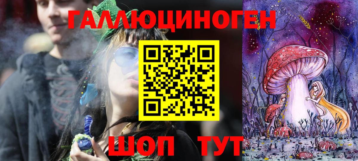 Псилоцибиновые грибы Psilocybe  Вход с VPN  Минусинск 